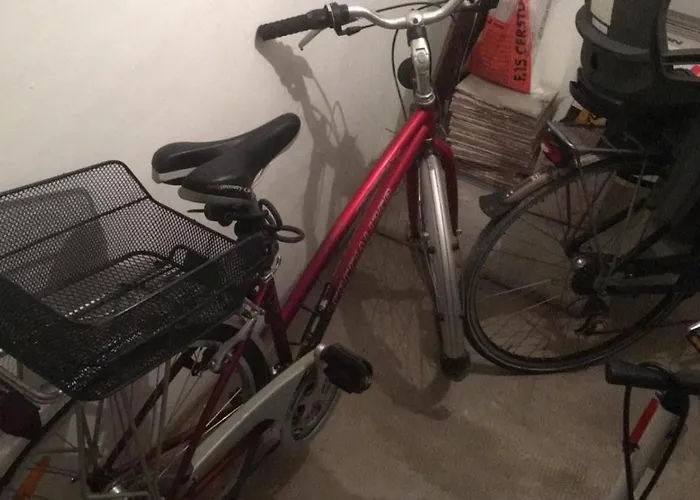 Di Edo 菲纳莱利古雷